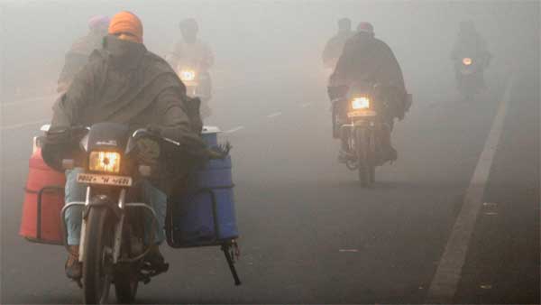 குரங்குக்காக விலையுயர்ந்த புதிய காரை நொறுக்கிய உரிமையாளர்...