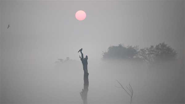 பெட்ரோல், டீசல் வாகனங்களுக்கு செக் வைக்கும் கேரள அரசு... அதிர்ச்சியில் வாகன உரிமையாளர்கள்!!!