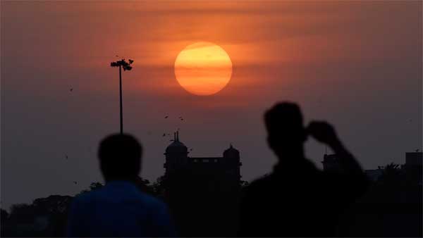 குரங்குக்காக விலையுயர்ந்த புதிய காரை நொறுக்கிய உரிமையாளர்...