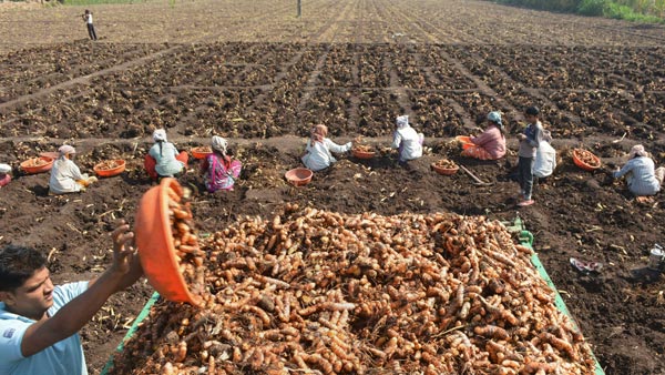 ஏழை விவசாயிகளை காக்க களமிறங்கிய மாணவர்கள்... என்ன செய்தார்கள் என தெரிந்தால் ஆச்சரியப்படுவீர்கள்...
