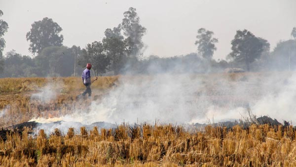 ஏழை விவசாயிகளை காக்க களமிறங்கிய மாணவர்கள்... என்ன செய்தார்கள் என தெரிந்தால் ஆச்சரியப்படுவீர்கள்...