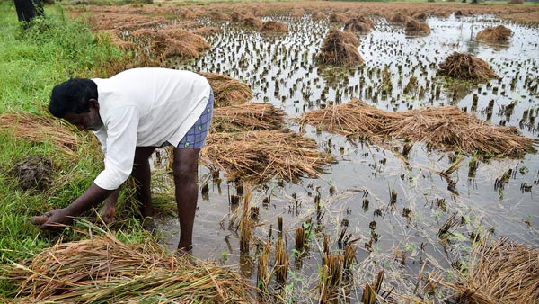 ஏழை விவசாயிகளை காக்க களமிறங்கிய மாணவர்கள்... என்ன செய்தார்கள் என தெரிந்தால் ஆச்சரியப்படுவீர்கள்...