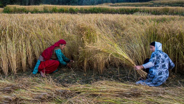 ஏழை விவசாயிகளை காக்க களமிறங்கிய மாணவர்கள்... என்ன செய்தார்கள் என தெரிந்தால் ஆச்சரியப்படுவீர்கள்...