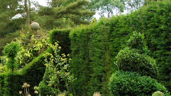 ஆட்டோவை பூங்காவாக மாற்றிய உரிமையாளர்... காரணம் என்னவென்று தெரிந்தால் ஆச்சரியப்படுவீர்கள்...