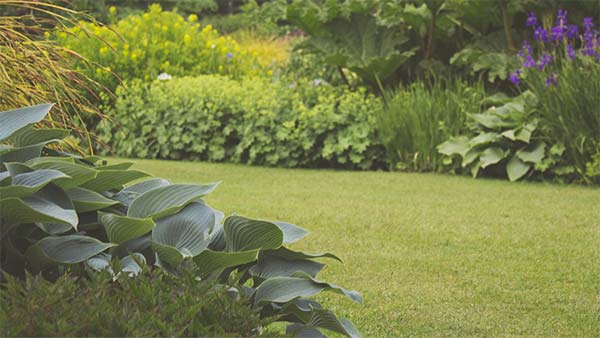 ஆட்டோவை பூங்காவாக மாற்றிய உரிமையாளர்... காரணம் என்னவென்று தெரிந்தால் ஆச்சரியப்படுவீர்கள்...