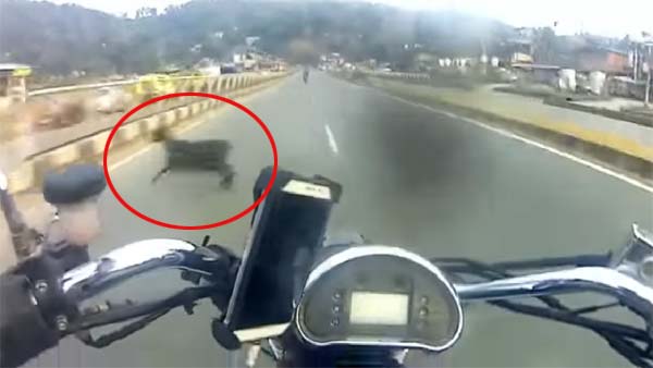 பைக்கில் 150 கிமீ வேகம்... நூலிழையில் உயிர் தப்பிய வாலிபர்... நெஞ்சை உறைய வைக்கும் வீடியோ...