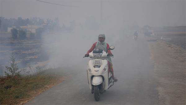 3 லட்சத்துக்கும் மேலான உயிர்களை பலிவாங்கிய டீசல் வாகனங்கள்: ஆய்வு நிறுவனத்தின் அதிர்ச்சி ரிப்போர்ட்!
