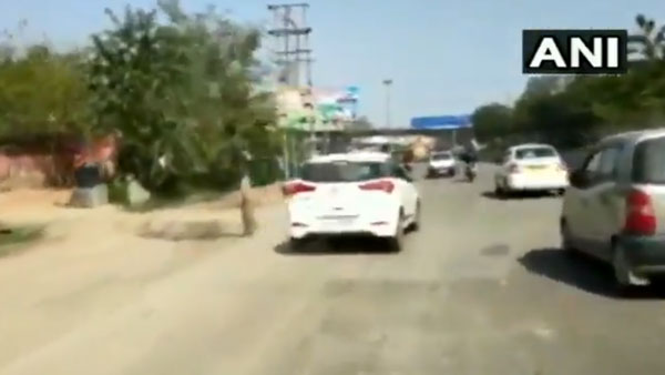 தவறு செய்த வாலிபரை நிறுத்த ஸ்பைடர் மேனாக மாறிய கேப் டிரைவர்... வைரலாகும் அதிர்ச்சி வீடியோ...