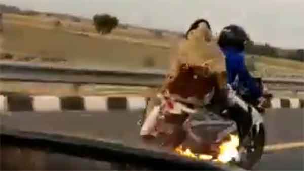 சாலையில் ஓடி கொண்டிருந்தபோது திடீரென தீப்பற்றி எரிந்த பைக்... காரணம் தெரிந்தால் அதிர்ச்சியடைவீர்கள்