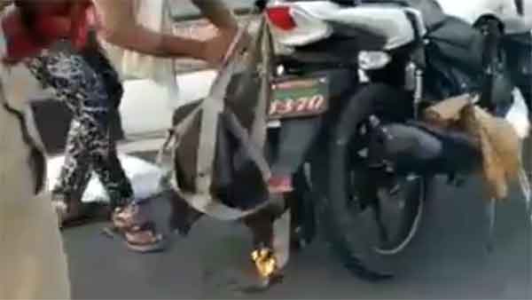 சாலையில் ஓடி கொண்டிருந்தபோது திடீரென தீப்பற்றி எரிந்த பைக்... காரணம் தெரிந்தால் அதிர்ச்சியடைவீர்கள்