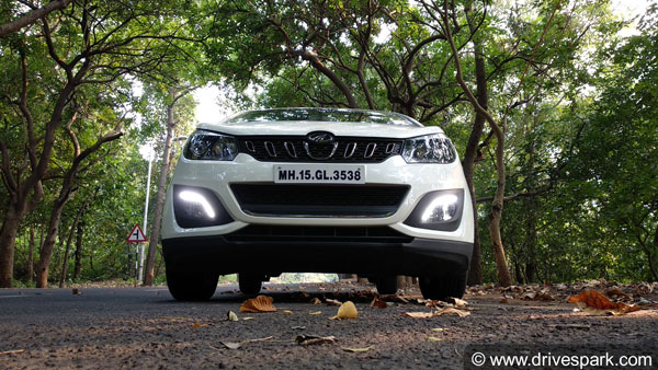 இந்தியாவில் 'சுறா மீன்' விற்பனை திடீரென குறைந்தது... 'டல்' அடிப்பதற்கு காரணம் இதுதான்...