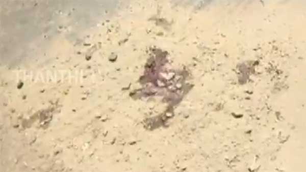 தமிழகத்தை உலுக்கிய வீடியோ... கோர விபத்தில் சிறுவன் பலியானதற்கு காரணம் இதுதான்... தந்தை சிக்குகிறார்