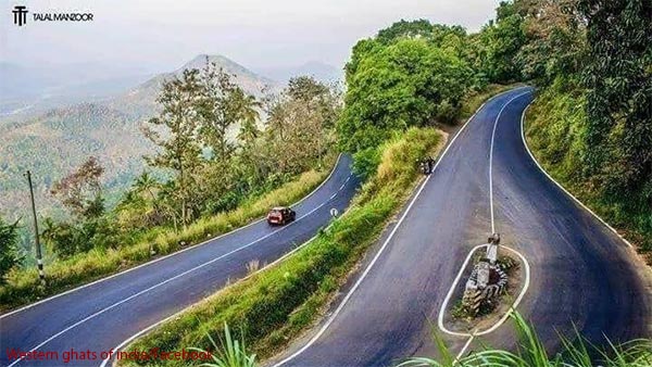 பைக்கில் சென்ற இளைஞரை விரட்டி சென்ற புலி.... நெஞ்சை பதைபதைக்க வைக்கும் அதிர்ச்சி வீடியோ!