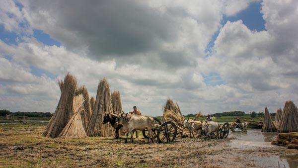 மாட்டு வண்டிக்கு கடும் அபராதம்... அதிர்ந்து போன விவசாயி... போலீஸ் சொன்ன காரணம் அதை விட அதிர்ச்சி