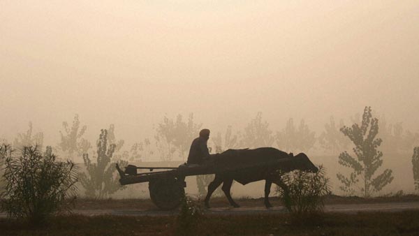 மாட்டு வண்டிக்கு கடும் அபராதம்... அதிர்ந்து போன விவசாயி... போலீஸ் சொன்ன காரணம் அதை விட அதிர்ச்சி