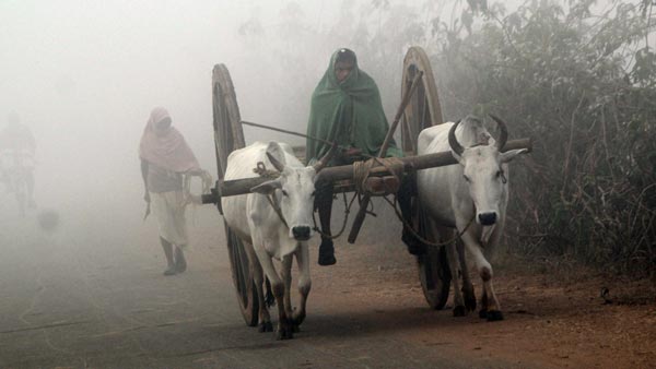 மாட்டு வண்டிக்கு கடும் அபராதம்... அதிர்ந்து போன விவசாயி... போலீஸ் சொன்ன காரணம் அதை விட அதிர்ச்சி