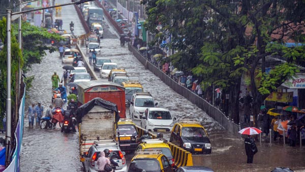 பெருக்கெடுத்த வெள்ளம்: ஒன்று திரண்டு மேம்பாலத்தில் காரை நிறுத்திய மக்கள்: எதற்கு தெரியுமா...?