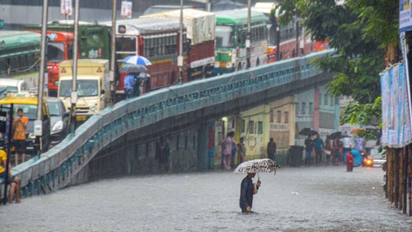 பெருக்கெடுத்த வெள்ளம்: ஒன்று திரண்டு மேம்பாலத்தில் காரை நிறுத்திய மக்கள்: எதற்கு தெரியுமா...?