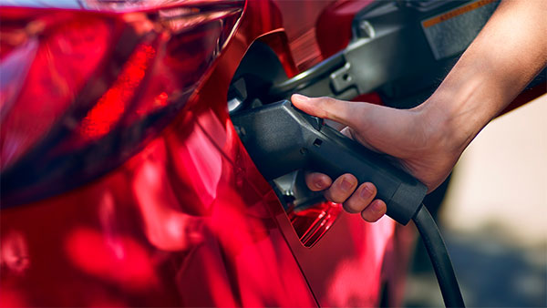 டொயோட்டா பிரையஸ் பிரைம் கார் இந்தியாவில் அறிமுகமாகிறது!