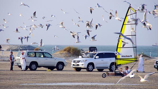 ஆயிரம் கார்கள் இருந்தாலும் ரெட், ப்ளூ கலர் கார்கள் மீதுதான் பறவைகள் 'கக்கா' போகும்... ஏன் தெரியுமா?