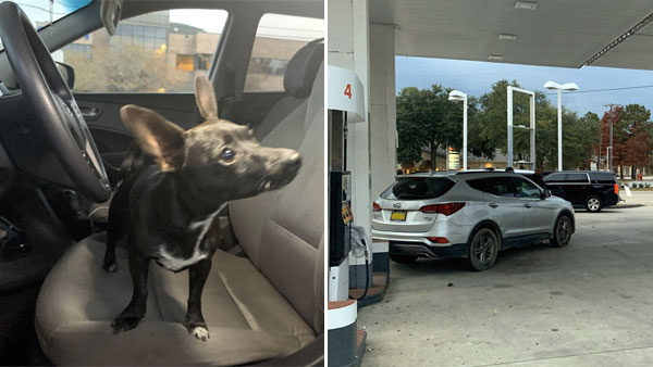 ஆளே இல்லாத கார் திடீரென பின்னோக்கி நகர்ந்த வீடியோ வேகமாக பரவுகிறது... திடுக்கிட வைக்கும் காரணம்...