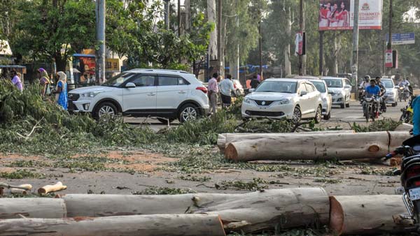 உலகிலேயே அபாயகரமானது... இந்திய சாலைகளில் மறைந்திருக்கும் இந்த ஆபத்துக்கள் உங்களுக்கு தெரியுமா?