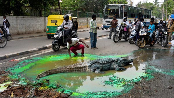 எப்படியெல்லாம் சமாளிக்குராங்க... 'தரமான சாலைகளே விபத்திற்கு காரணம்' - மக்களை அதிரவைத்த பாஜக எம்பி..!