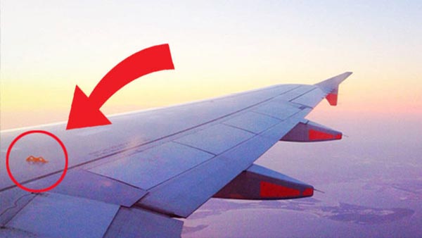 விமானத்தில் உள்ள ரகசியங்கள் பற்றி உங்களுக்கு தெரியுமா?