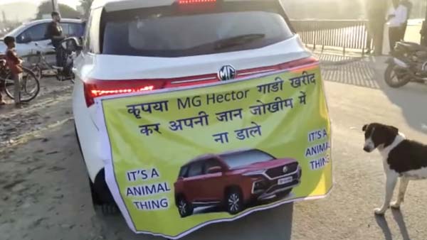 புதிய எம்ஜி ஹெக்டர் காரை கழுதையை வைத்து இழுத்த உரிமையாளர்... காரணம் தெரிந்தால் அதிர்ந்து விடுவீர்கள்