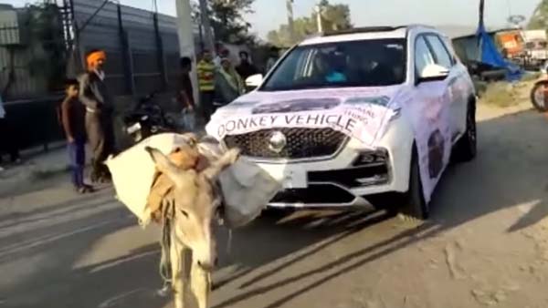 புதிய எம்ஜி ஹெக்டர் காரை கழுதையை வைத்து இழுத்த உரிமையாளர்... காரணம் தெரிந்தால் அதிர்ந்து விடுவீர்கள்