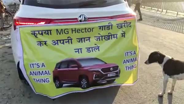 கழுதையை வைத்து சர்ச்சையை ஏற்படுத்திய ஹெக்டர் உரிமையாளர்... அடிபணிந்த எம்ஜி..!