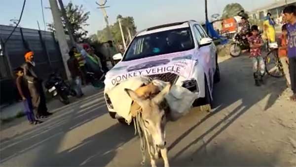 கழுதையை வைத்து சர்ச்சையை ஏற்படுத்திய ஹெக்டர் உரிமையாளர்... அடிபணிந்த எம்ஜி..!