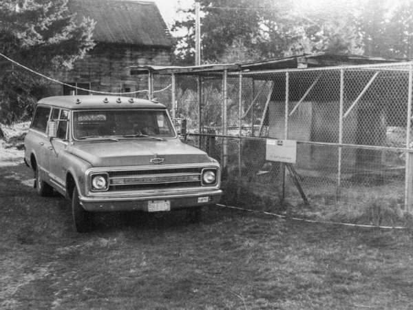 ஃபோக்ஸ்வேகன் பீட்டிலிடம் கற்பை இழந்த அமெரிக்கர்... 1,000 கார்களுடன் சல்லாபம்!