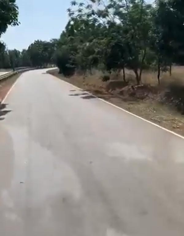 மூக்கின் மேல் விரல் வைத்த மக்கள்... அரசு பஸ்ஸை ஓட்டி சென்ற பெண் ஐஏஎஸ் அதிகாரி... எதற்காக தெரியுமா?