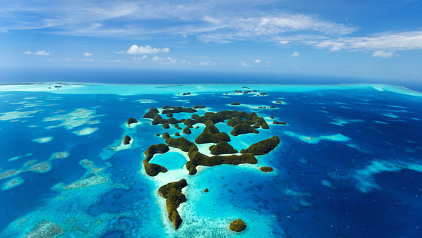 பசிபிக் கடல் மீது பறப்பதை தவிர்க்கும் பைலட்கள்... விமானங்கள் சுற்றி செல்லும் மர்மம் என்னனு தெரியுமா? பசிபிக் கடல் மீது பறப்பதை தவிர்க்கும் பைலட்கள்... விமானங்கள் சுற்றி செல்லும் மர்மம் என்னனு தெரியுமா?