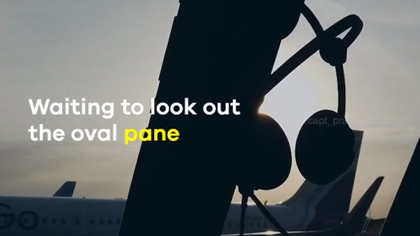 கடுமையான மன உலைச்சலில் விமானிகள்... மனது உருகும் வீடியோ வெளியிட்ட இன்டிகோ பைலட்..