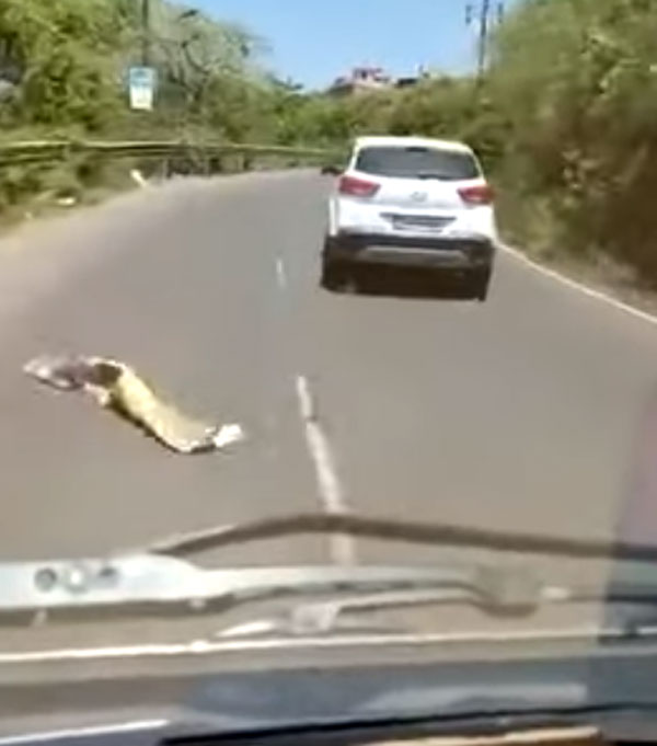 அவசரமாக சென்ற ஆம்புலன்ஸ்.. நீண்ட தூரம் இடைமறைத்த சிறுவன்.. போலீஸ் என்ன நடவடிக்கை எடுத்தாங்க தெரியுமா?