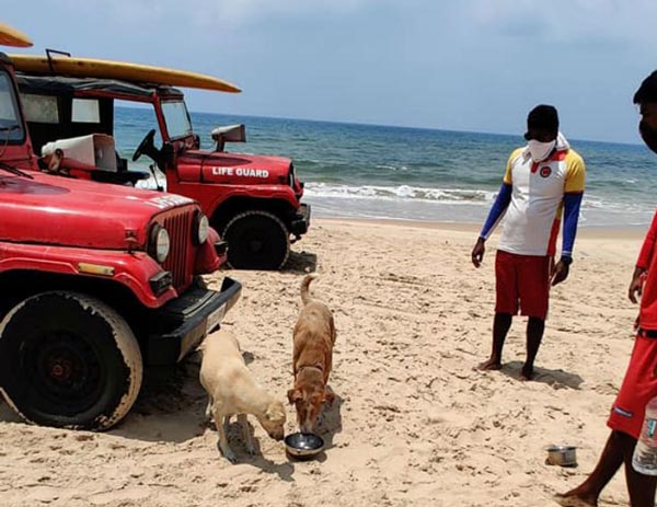 புல்லட்டில் சென்று நாய்களுக்கு உணவு அளிக்கும் இளம்பெண்... போலீஸ் மீது அதிர வைக்கும் குற்றச்சாட்டு...