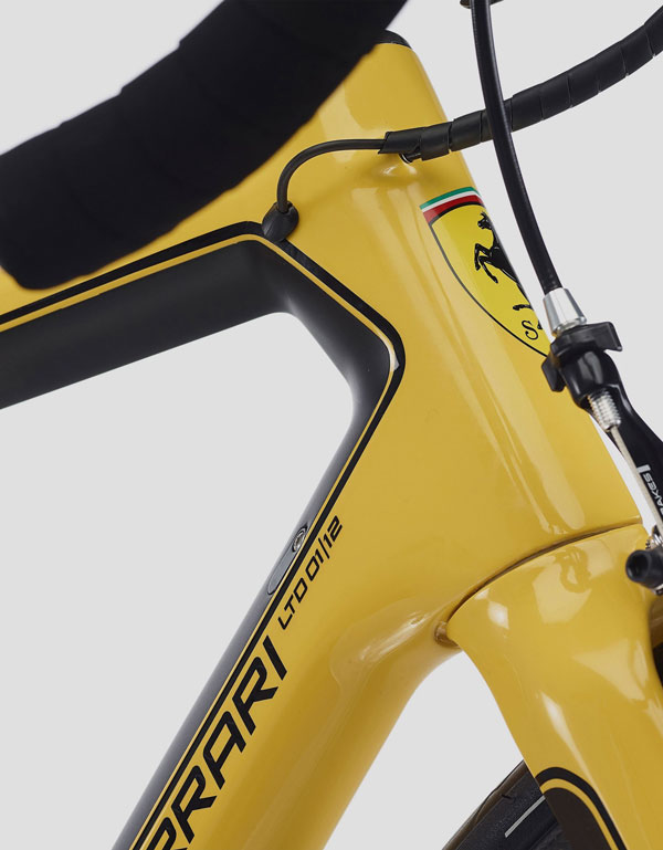 இந்த சைக்கிளின் ஒட்டுமொத்த எடை 780 கிராம் மட்டுமே... ஆனா, விலைய கேட்ட சத்தியமா தலை தெறிக்க ஓடிடுவீங்க!