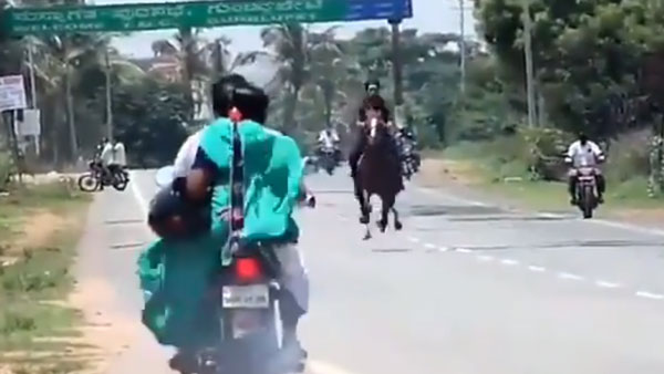 ஊரடங்கை மீறி தேசிய நெடுஞ்சாலையில் குதிரை சவாரி... பாஜக எம்எல்ஏ மகனின் அடாவடி செயல்... வைரல் வீடியோ!