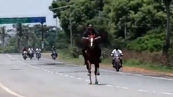 ஊரடங்கை மீறி தேசிய நெடுஞ்சாலையில் குதிரை சவாரி... பாஜக எம்எல்ஏ மகனின் அடாவடி செயல்... வைரல் வீடியோ!