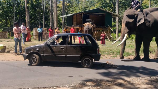 வெளியேற திணறிய மாருதி 800... துதிக்கை கொடுத்து உதவிய பிரமாண்ட உருவமுடைய நண்பன்... வீடியோ! வெளியேற திணறிய மாருதி 800... துதிக்கை கொடுத்து உதவிய பிரமாண்ட உருவமுடைய நண்பன்... வீடியோ!