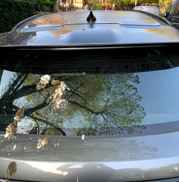 எங்க கார நிறுத்தினாலும் இந்த காக்கா அசிங்கம் செஞ்சிருதுங்க... கவலை வேண்டாம் வருகிறது இதற்கான நிரந்தர தீர்வு... ஃபோர்டு நிறுவனத்தின் எதை தாங்கும் பெயிண்ட்!