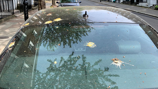 எங்க கார நிறுத்தினாலும் இந்த காக்கா அசிங்கம் செஞ்சிருதுங்க... கவலை வேண்டாம் வருகிறது இதற்கான நிரந்தர தீர்வு... ஃபோர்டு நிறுவனத்தின் எதை தாங்கும் பெயிண்ட்!