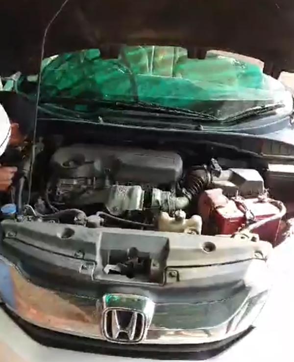 ஊரடங்கினால் ஹோண்டா சிட்டி காரை வீடாக மாற்றிக்கொண்ட 6 அடி பாம்பு... இன்னும் என்னென்ன நடக்க இருக்கிறதோ..?