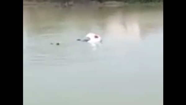 என்னாச்சு பார்த்தீங்களா... ரோடு காலியா இருந்தா வேகமா போகலாம்னு அர்த்தமில்லீங்க!