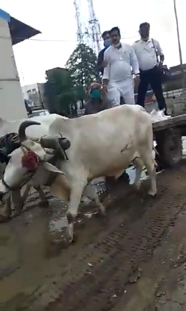 பென்ஸ் காரை ரோட்டில் நிறுத்தி விட்டு மாட்டு வண்டியில் ஆபீஸ் போன தொழிலதிபர்! எல்லாரும் ஆடிப்போய்டாங்க