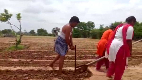 இந்த டிராக்டர் இவ்ளோ சக்தி வாய்ந்ததா? இதைதான் சோனு சூட் விவசாயிக்கு பரிசாக வழங்கினாரா! நல்ல மனசுங்க உங்களுக்கு!