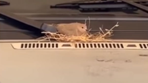 ரொம்ப பெரிய மனசு... நாமக்கல் ஹோட்டல் கடைக்காரர் செய்த சபதம்... புகழ்ந்து தள்ளும் காரைக்குடி மக்கள்