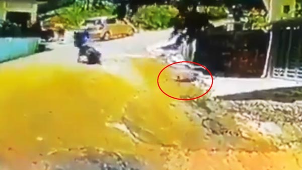 குழந்தையின் உயிரை காப்பாற்ற இளைஞர் செய்த காரியம்! வீடியோவை பார்த்து விட்டு புகழ்ந்து தள்ளும் மக்கள் குழந்தையின் உயிரை காப்பாற்ற இளைஞர் செய்த காரியம்! வீடியோவை பார்த்து விட்டு புகழ்ந்து தள்ளும் மக்கள்